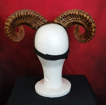 Cornes de Bélier en Résine — Cosplay, Démon, Faune & Spectacle