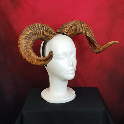 Cornes de Bélier en Résine — Cosplay, Démon, Faune & Spectacle