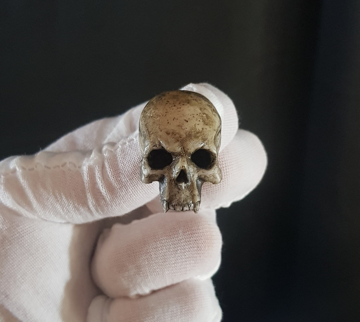 Broche crâne vampire réaliste os
