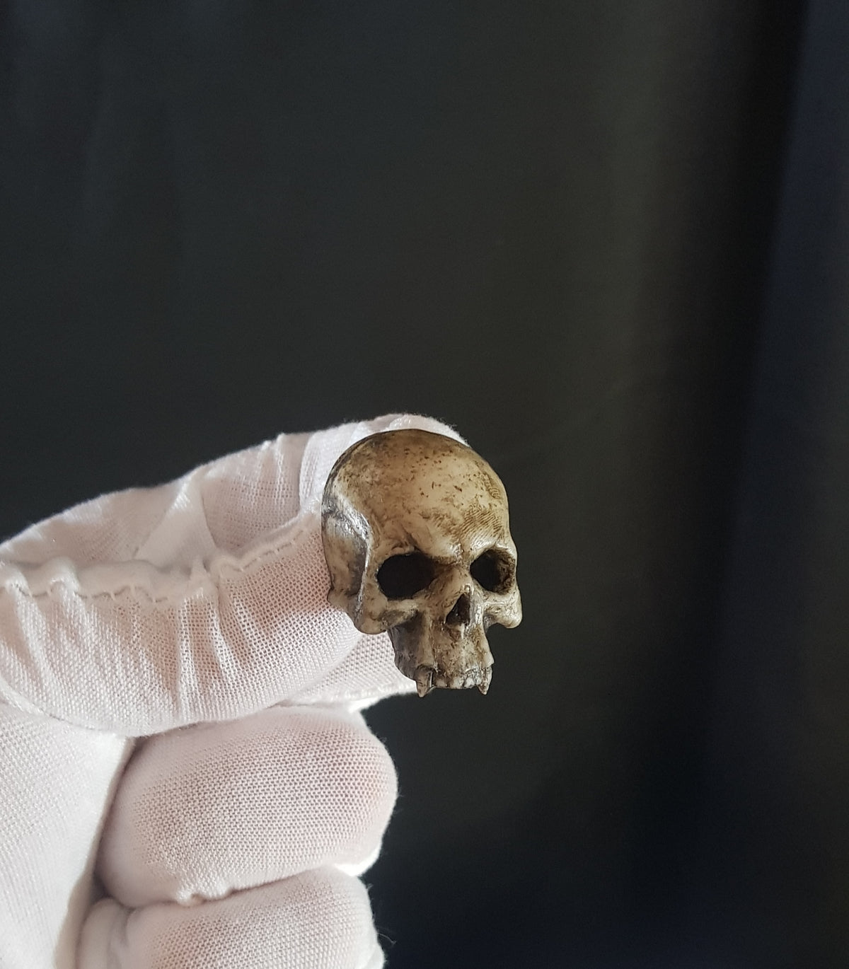 Broche crâne vampire réaliste os