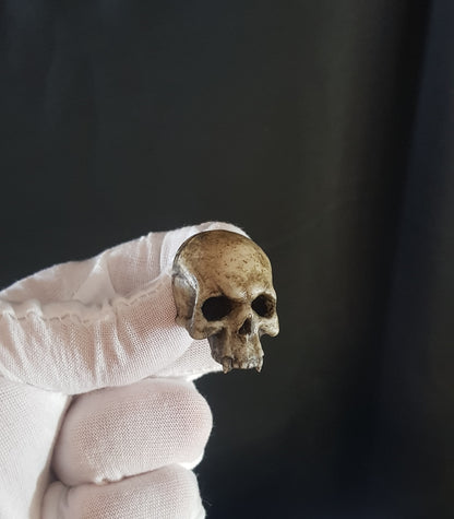 Broche crâne vampire réaliste os