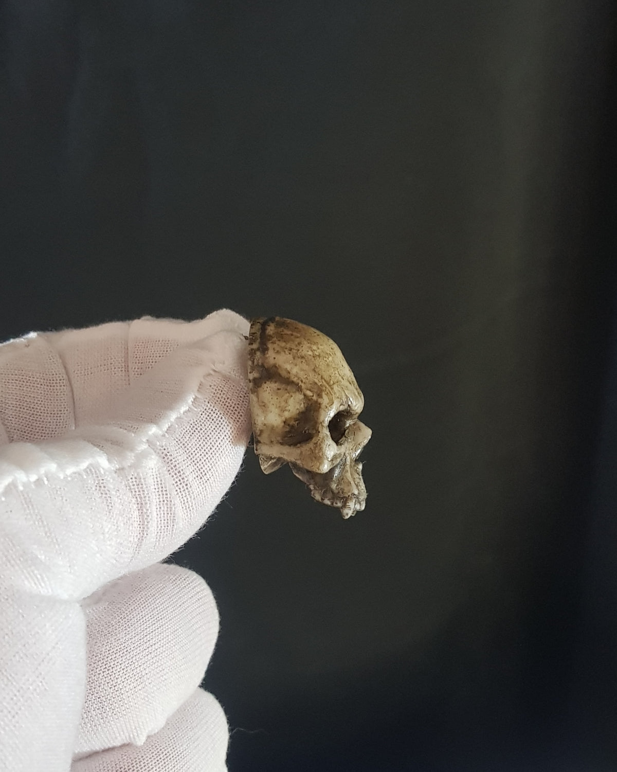 Broche crâne vampire réaliste os