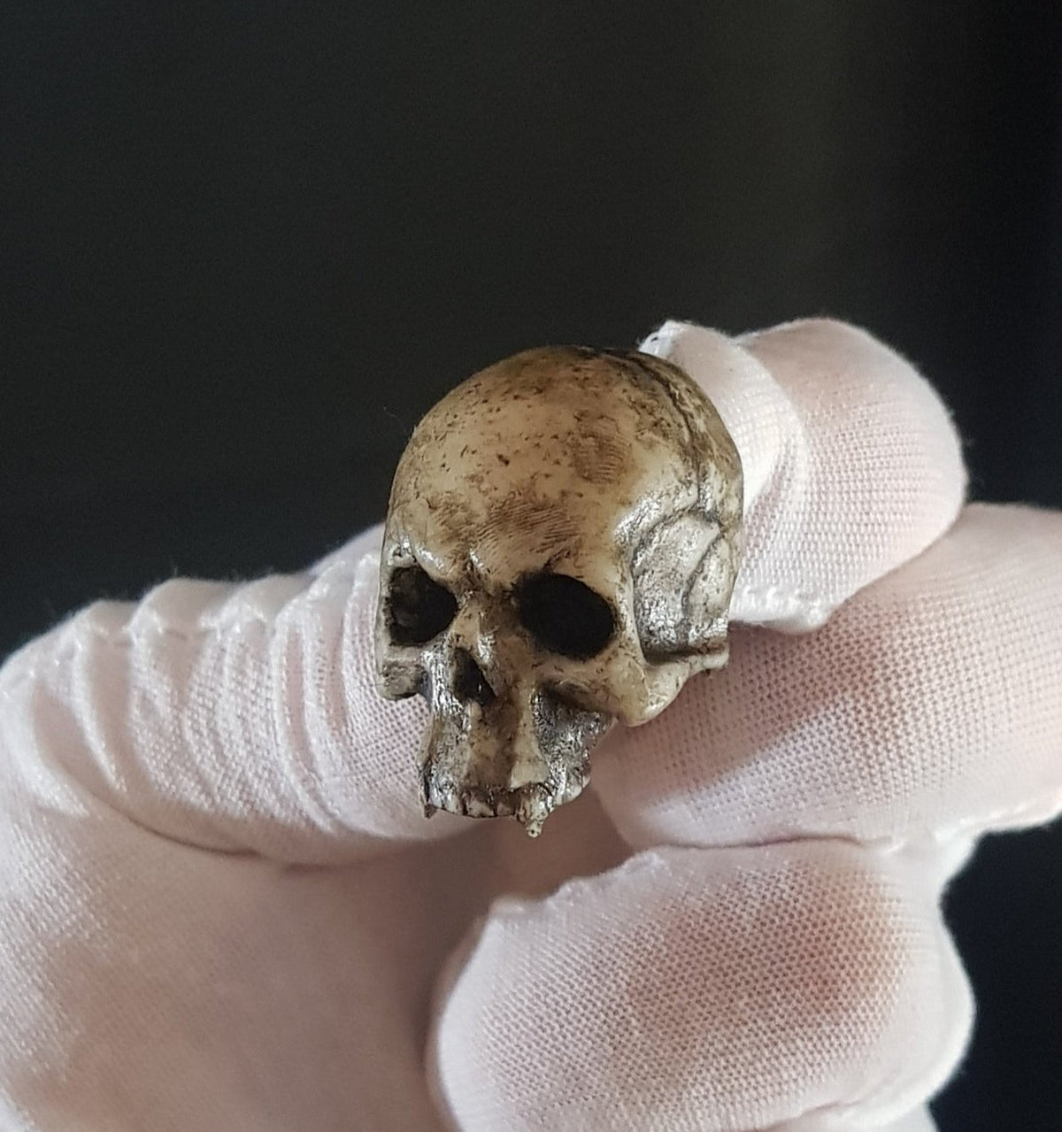 Broche crâne vampire réaliste os