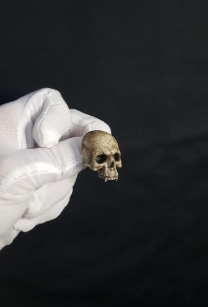 Broche crâne vampire réaliste os