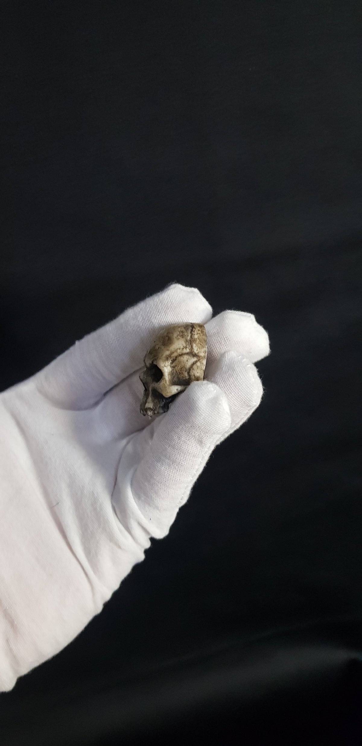 Broche crâne vampire réaliste os
