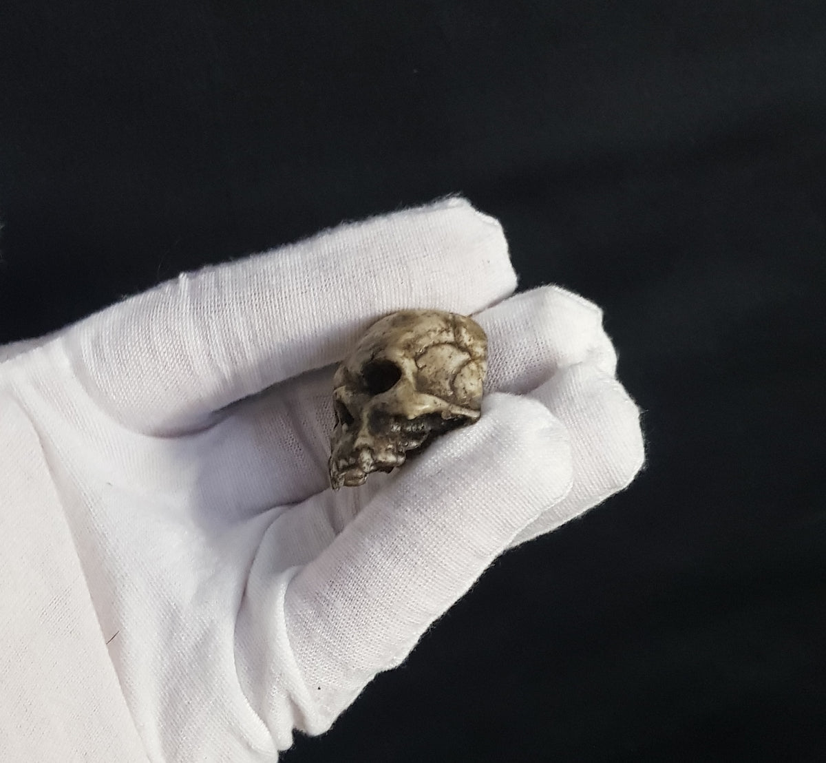 Broche crâne vampire réaliste os