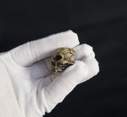 Broche crâne vampire réaliste os