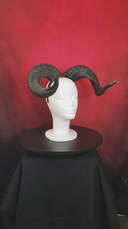 Cornes de Bélier en Résine — Cosplay, Démon, Faune & Spectacle